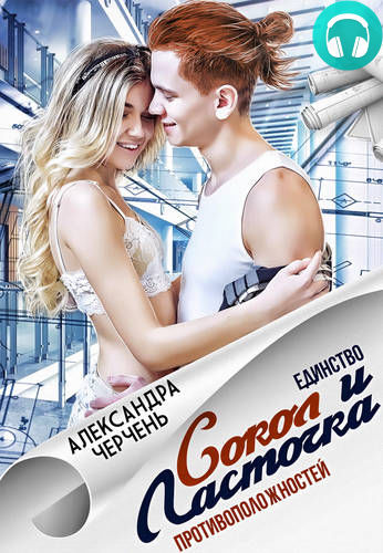 Обложка книги Сокол и Ласточка