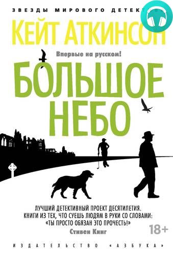 Обложка книги Большое небо